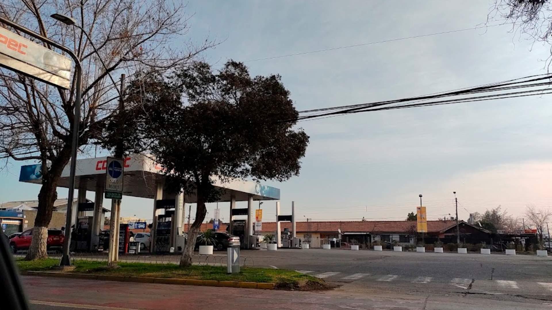 Coipué — imagen 9