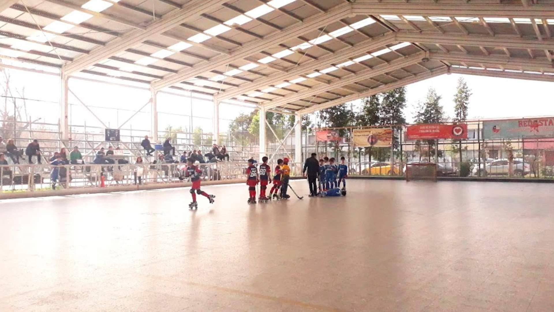 Coipué — imagen 12