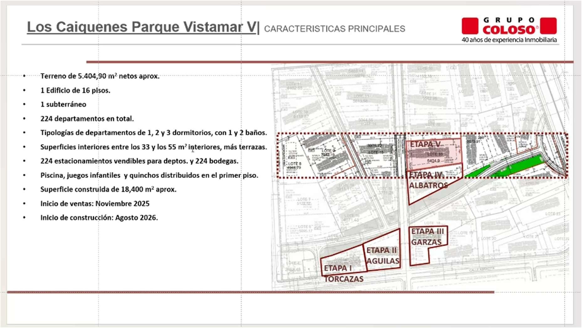 Caiquenes — foto 2
